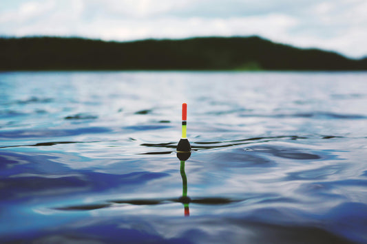 How to Choose the Right Lure for Any Water (Without Losing Your Mind)