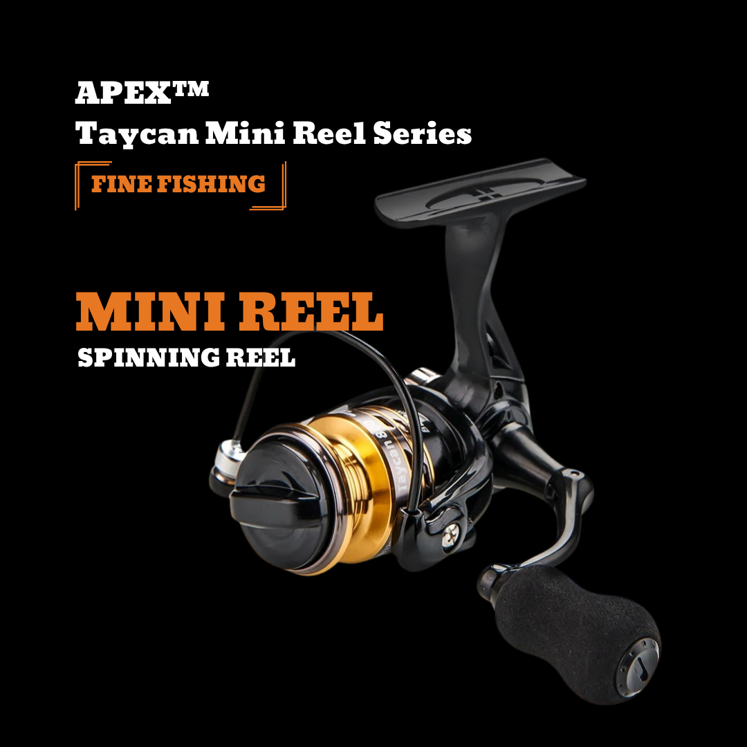 APEX Taycan Mini Reel Series
