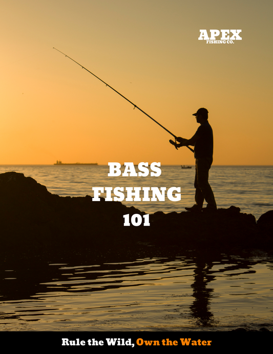 Bass Fishing 101 E-Book
