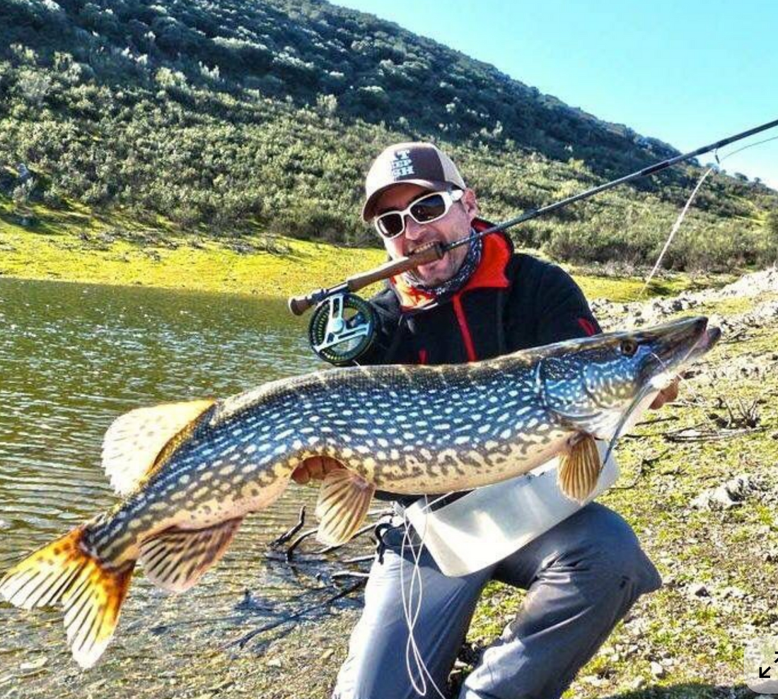 Find Your Pike Paradise: Essential Tips for Spotting Pike in Any Season