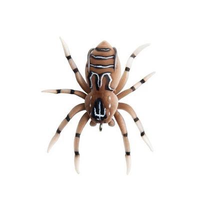Arachnacast™  Spider Lure